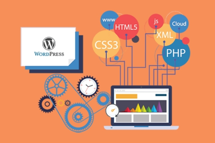 Theme Customization for WordPress